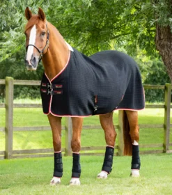 Premier Equine PremTex Horse Cooler Rug -Finest Equestrian Supplies premtex cooler black 1 9 jpg