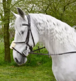 Rhinegold Softee Leather Anatomical Mexican Bridle 32 Rhinegold Softee Leather Anatomical Mexican Bridle -Finest Equestrian Supplies r132 web 1 1 jpg