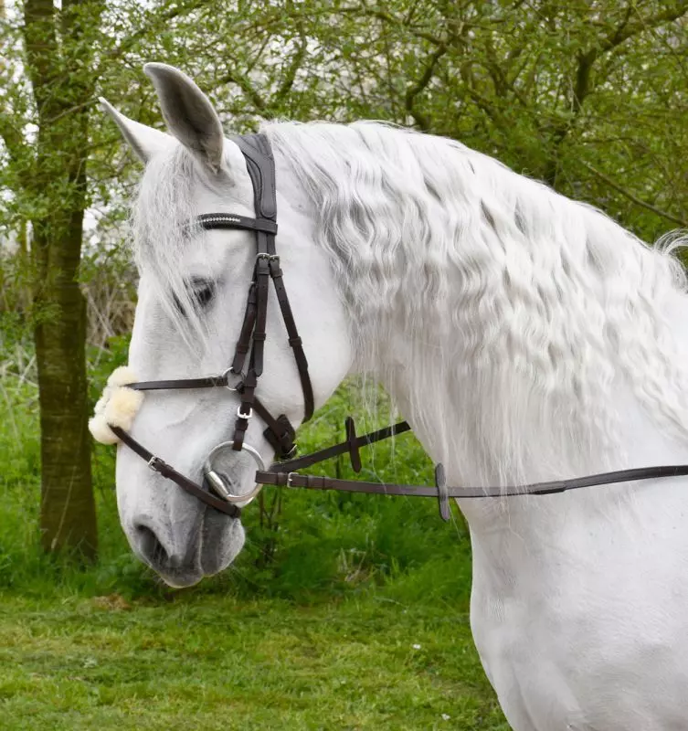 Rhinegold Softee Leather Anatomical Mexican Bridle 17 Rhinegold Softee Leather Anatomical Mexican Bridle - Image 15