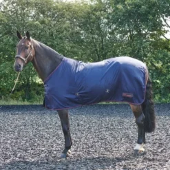 John Whitaker Rastrick Multi Purpose Rug -Finest Equestrian Supplies r200 rastrick summer sheet 1 650x650 1 2 jpg