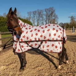 John Whitaker Ladybird Fly Rug 31 John Whitaker Ladybird Fly Rug -Finest Equestrian Supplies r294 lady bird fly rugweb 600x600 1 8 jpg