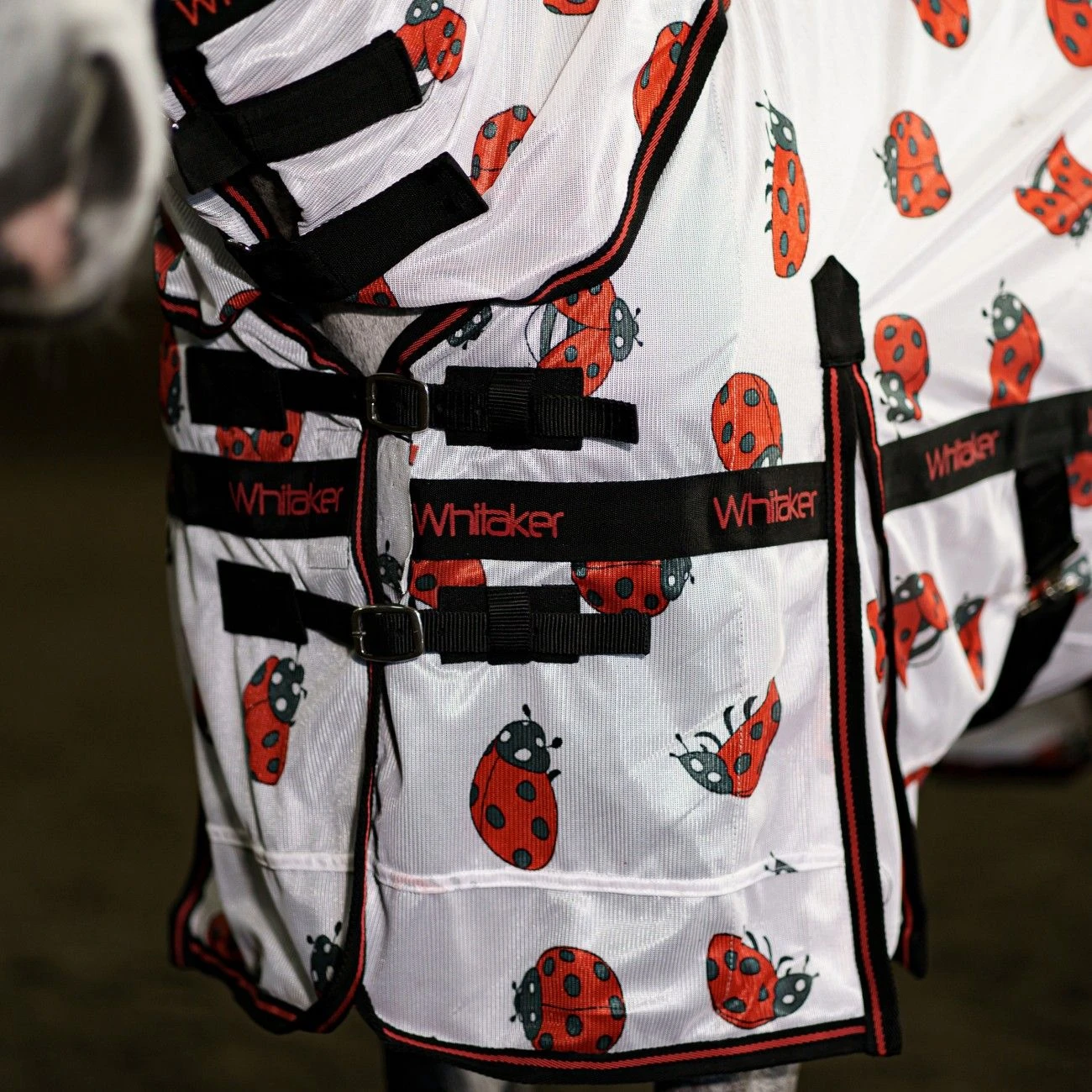 John Whitaker Ladybird Fly Rug 17 John Whitaker Ladybird Fly Rug - Image 15