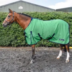 Whitaker R370 Allerton Cotton Sheet -Finest Equestrian Supplies r370 allerton green sq 600x600 1 3 jpg