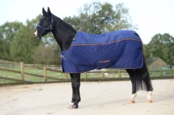 Bucas Therapy Rug 29 Bucas Therapy Rug -Finest Equestrian Supplies recuptex therapy 8249 preview 3 2 1 jpeg