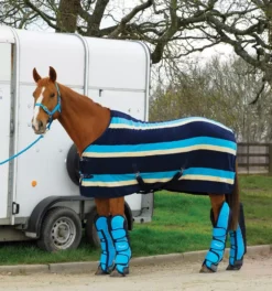 Rhinegold Elite Fleece Rug -Finest Equestrian Supplies rhinegold elite fleece rug aqua 1 jpg