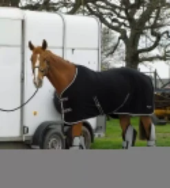 Rhinegold Elite Fleece Rug -Finest Equestrian Supplies rhinegold elite fleece rug black 8 jpg