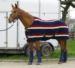 Rhinegold Elite Fleece Rug -Finest Equestrian Supplies rhinegold elite fleece rug burgundy navy jpg