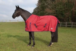 Rhinegold Torrent Lightweight Turnout Rug -Finest Equestrian Supplies rhinegold torrent lwt turnout rug red navyspot 8 jpg
