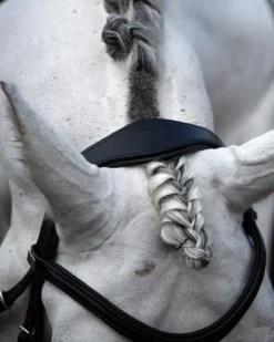 Premier Equine Rizzo Anatomic Snaffle Bridle With Flash -Finest Equestrian Supplies rizzo 3 1 jpg