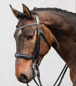 Schockemohle Milton Double Bridle -Finest Equestrian Supplies screenshot 2022 11 16 132821 1 png