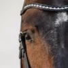 Schockemohle Milton Double Bridle -Finest Equestrian Supplies screenshot 2022 11 16 132847 2 png