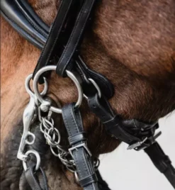 Schockemohle Milton Double Bridle -Finest Equestrian Supplies screenshot 2022 11 16 132908 1 png