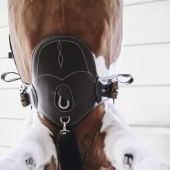 Kentucky Horsewear Kentucky Short Stud Girth - Brown 23 Kentucky Horsewear Kentucky Short Stud Girth - Brown -Finest Equestrian Supplies short stud girth2 1 png