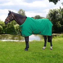StormX Original 0g Turnout Rug - Green -Finest Equestrian Supplies stormx original 0 turnout rug 1 9 jpg