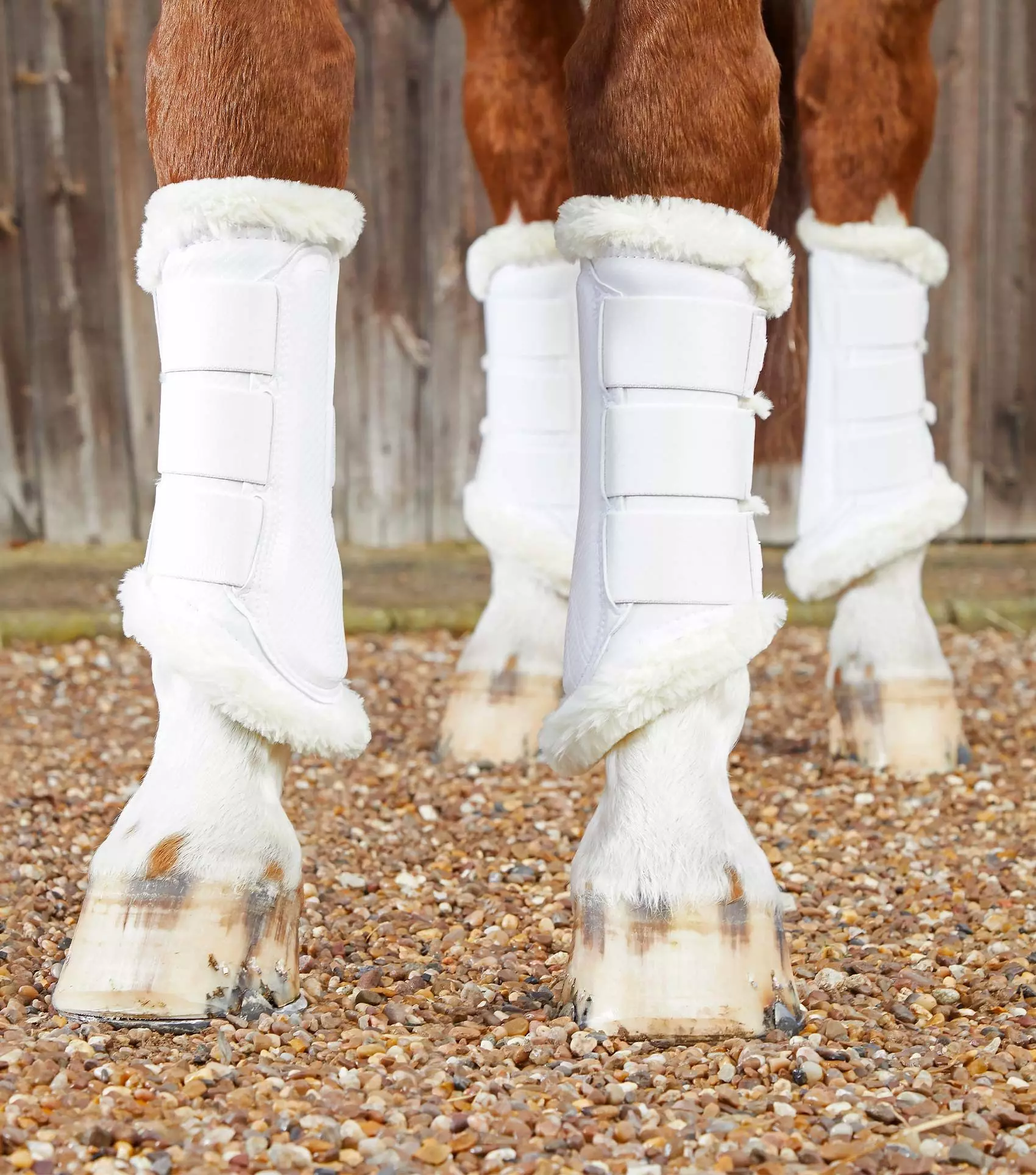 Premier Equine Techno Wool Brushing Boots 10 Premier Equine Techno Wool Brushing Boots - Image 8