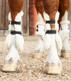 Premier Equine Techno Wool Tendon Boots -Finest Equestrian Supplies techno wool tendon boot white 2 2 jpg