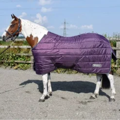 John Whitaker Thistle 200g Stable Rug - Plum -Finest Equestrian Supplies thistle stable sq 650x650 1 8 jpg