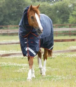 Premier Equine Titan 450g Turnout Rug With Snug-Fit Neck Cover