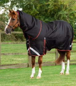 Premier Equine Titan 450g Turnout Rug With Snug-Fit Neck Cover -Finest Equestrian Supplies titan 450g heavyweight turnout rug black 1 5 jpg
