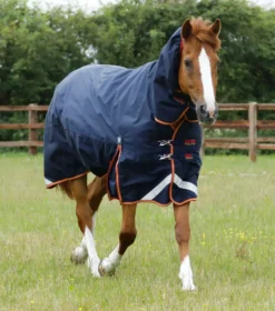 Premier Equine Titan Storm 450g Combo Turnout Rug With Snug-Fit Neck -Finest Equestrian Supplies titan storm 450 turnout rug navy 1 1 6 jpg