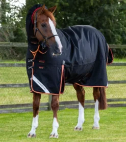 Premier Equine Titan Storm 450g Combo Turnout Rug With Snug-Fit Neck -Finest Equestrian Supplies titan storm 450g heavyweight turnout rug black 1 8 jpg