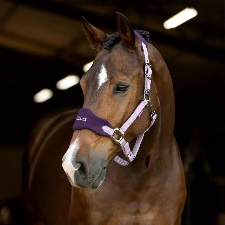 LeMieux Vogue Fleece Headcollar & Leadrope 10 LeMieux Vogue Fleece Headcollar & Leadrope - Image 8