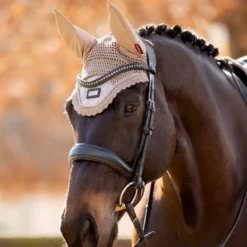 LeMieux Rhone Fly Hood -Finest Equestrian Supplies tracyrobertson rhone2021 014 pt 2 jpg