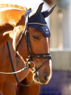 LeMieux Rhone Fly Hood -Finest Equestrian Supplies tracyrobertson rhone2021 052 2 jpg