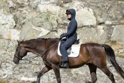 Stierna Stella Thermo Riding Pants -Finest Equestrian Supplies unnamed 35 3