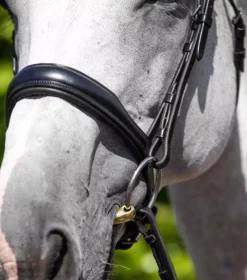 Premier Equine Verdura Anatomic Snaffle Bridle -Finest Equestrian Supplies verdura anatomic snaffle bridle black 3 3 jpg