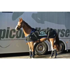 Veredus Magnetik Rug -Finest Equestrian Supplies veredus magnetik rug 2 1 jpg