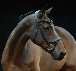 Collegiate ComfiTec Vogue Anatomical Bridle -Finest Equestrian Supplies voguebl1 1 3 jpg