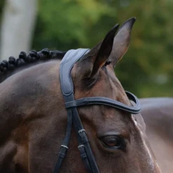 Collegiate ComfiTec Vogue Anatomical Bridle -Finest Equestrian Supplies voguebl4 3 jpg