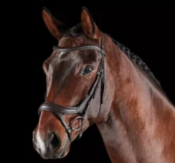 Collegiate ComfiTec Vogue Anatomical Bridle -Finest Equestrian Supplies voguebr1 3 jpg