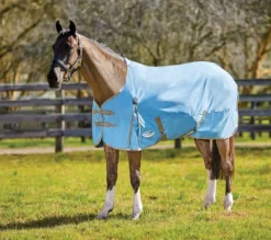 WeatherBeeta ComFiTec Classic Standard Neck Lite -Finest Equestrian Supplies weatherbeeta comfitec classic standard neck lite blue taupe jpg