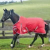 WeatherBeeta ComFiTec Classic Standard Neck Lite -Finest Equestrian Supplies weatherbeeta comfitec classic standard neck lite red 1 jpg