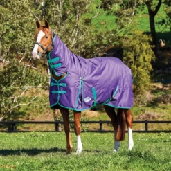 WeatherBeeta ComFiTec Essential Combo Neck Heavyweight -Finest Equestrian Supplies weatherbeeta comfitec essential combo neck heavy bright purple jpg