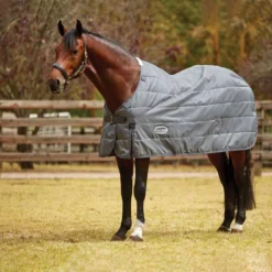 WeatherBeeta ComFiTec Liner Heavy -Finest Equestrian Supplies weatherbeeta comfitec liner heavy 1 8 jpg