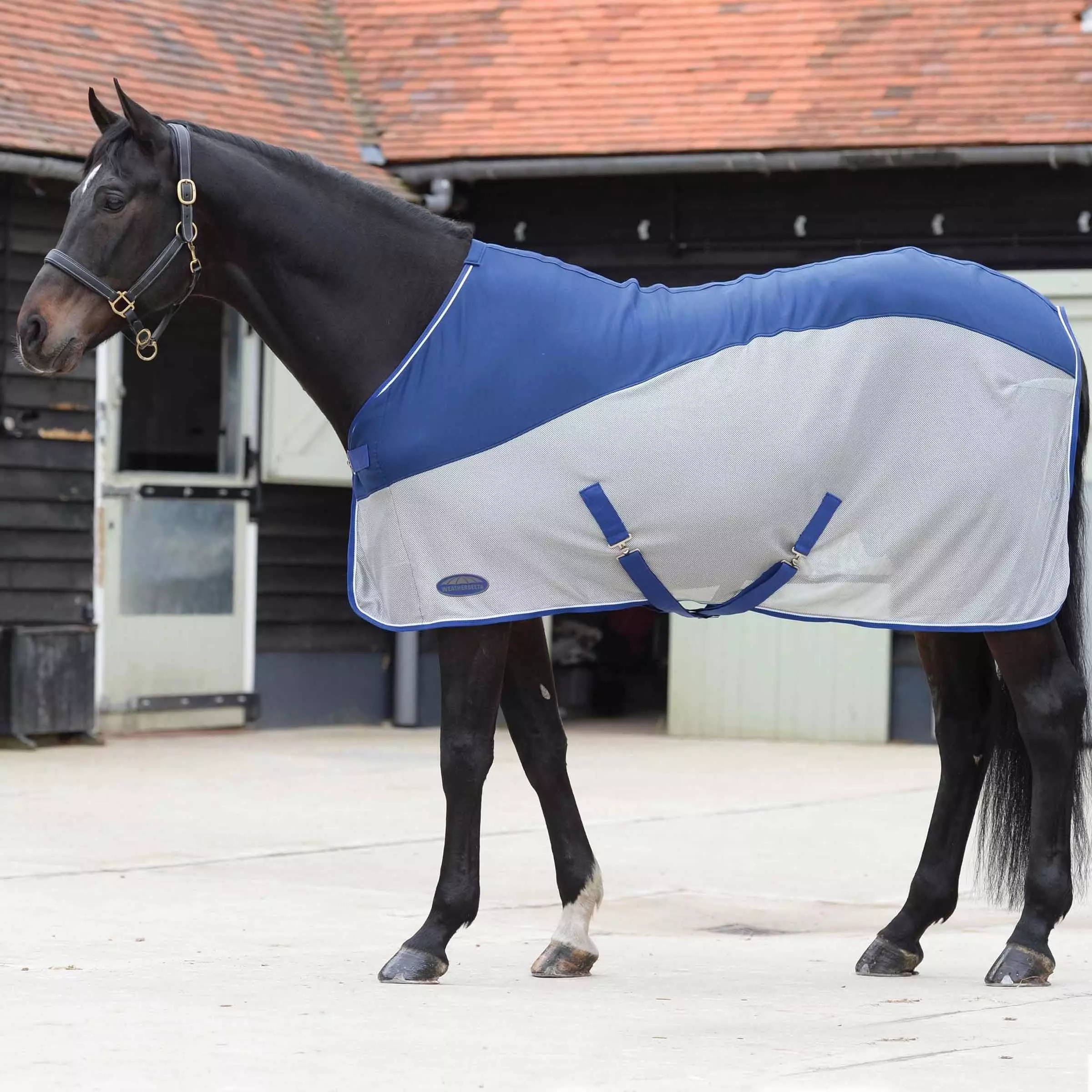 WeatherBeeta Micro-Air Cooler Standard Neck Rug 4 WeatherBeeta Micro-Air Cooler Standard Neck Rug - Image 2