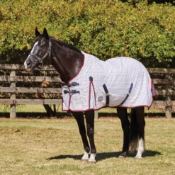 WeatherBeeta Summer Sheet Lite III Standard Neck -Finest Equestrian Supplies weatherbeeta summer sheet lite iii standard neck 6 jpg
