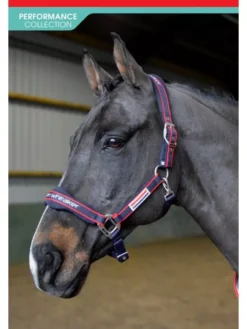 John Whitaker Airflow Headcollar And Leadrope Set