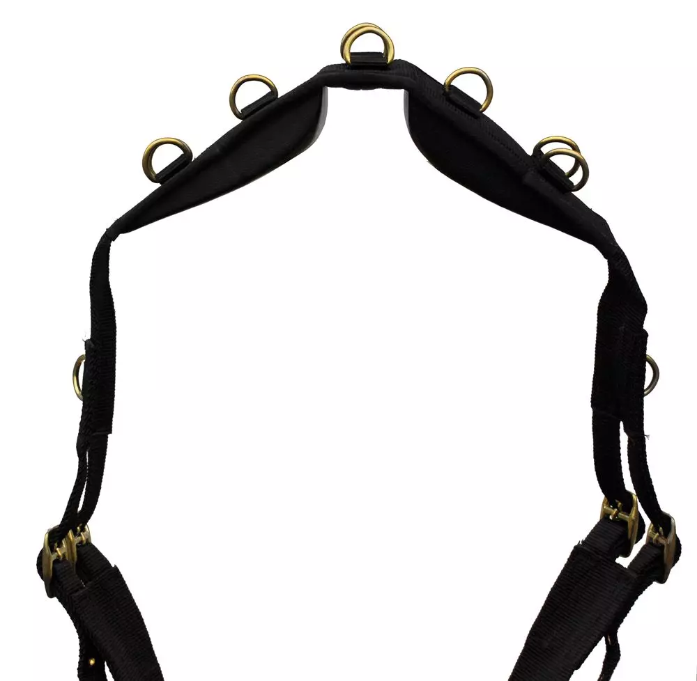 Windsor. Windsor Synthetic Roller 4 Windsor. Windsor Synthetic Roller - Image 2